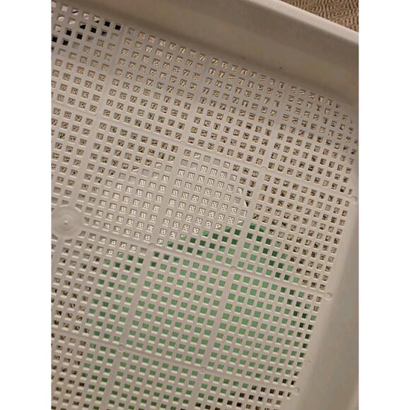 4 Pcs Seed Sprouter Tray with Drain Holes for Microgreens Growing Kit - Picture 14 of 16